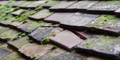 Usk roof repair costs